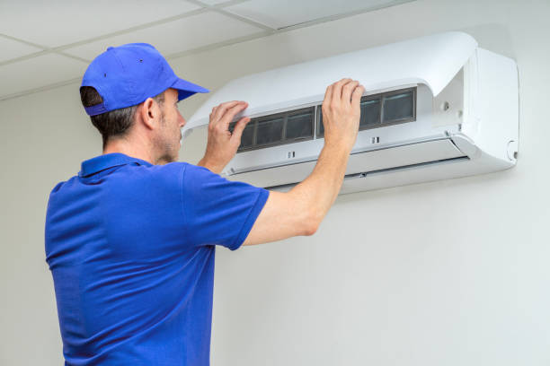 Air Duct Mold Removal in Pioneer, OH